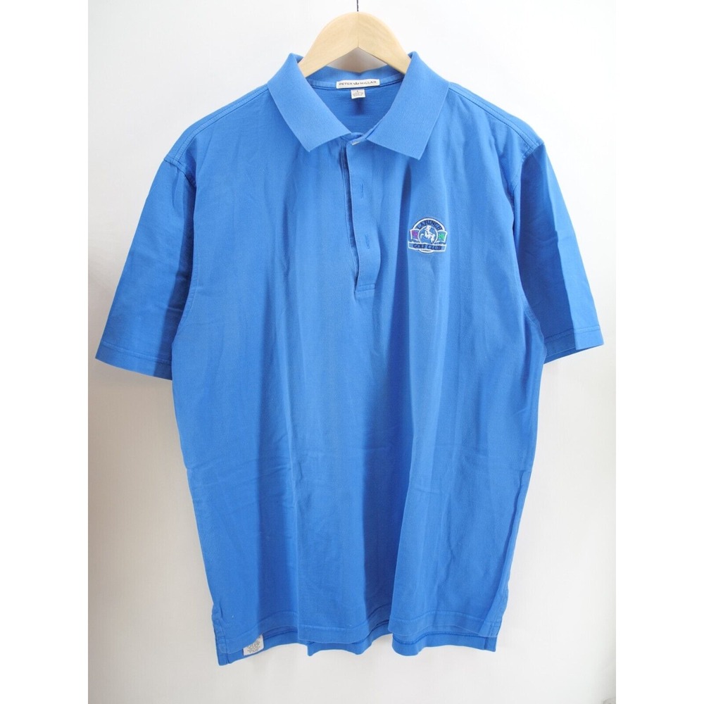 Peter Millar Polo Shirt Mens‎ Large Blue Golf Sporty Classic Korea Vintage